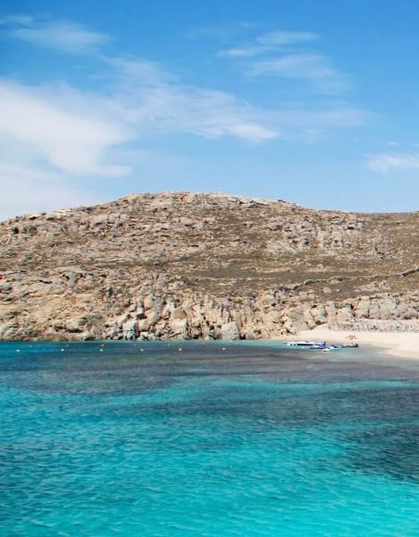 Cyclades Agrari Mykonos