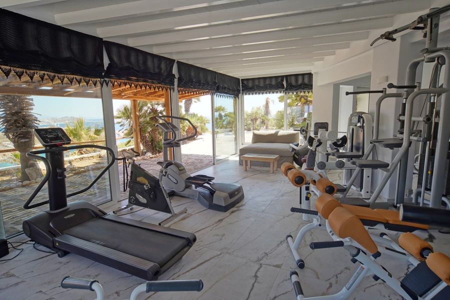 Private gym mykonos